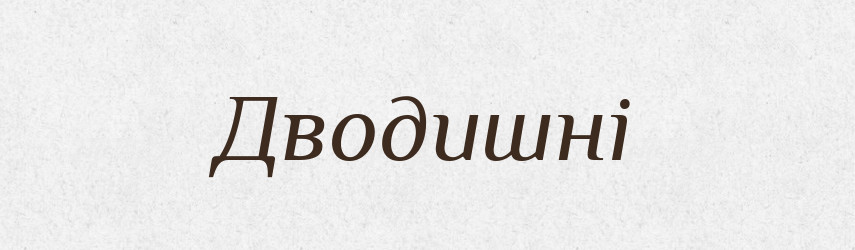 Дводишні — Великий тлумачний словник сучасної української мови