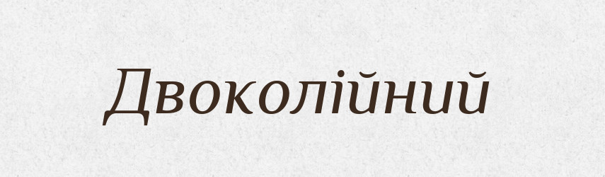 Двоколійний — Великий тлумачний словник сучасної української мови