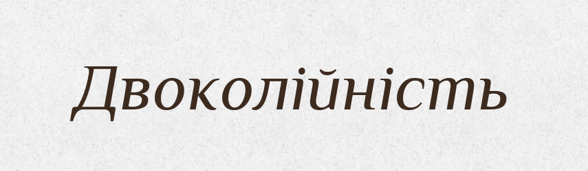 Двоколійність — Великий тлумачний словник сучасної української мови