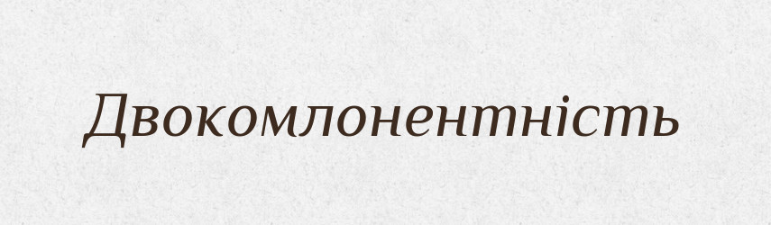 Двокомлонентність — Великий тлумачний словник сучасної української мови