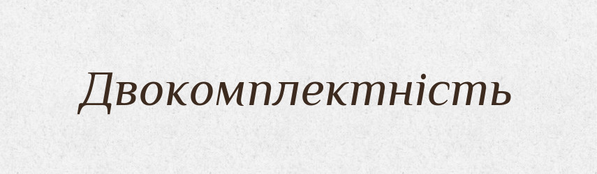 Двокомплектність — Великий тлумачний словник сучасної української мови