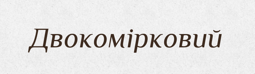 Двокомірковий — Великий тлумачний словник сучасної української мови