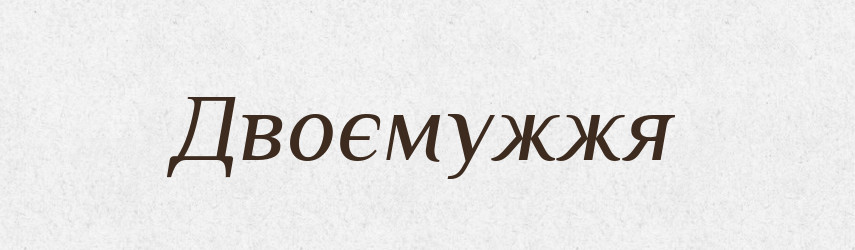 Двоємужжя — Великий тлумачний словник сучасної української мови