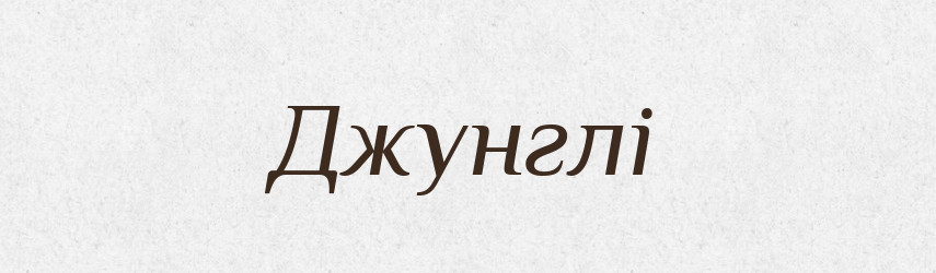 Джунглі — Великий тлумачний словник сучасної української мови
