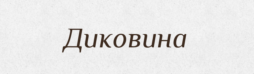 Диковина — Великий тлумачний словник сучасної української мови
