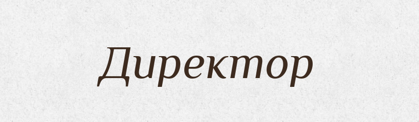Директор — Великий тлумачний словник сучасної української мови