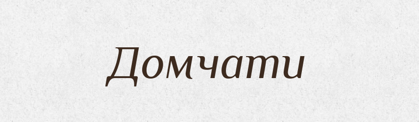 Домчати — Великий тлумачний словник сучасної української мови