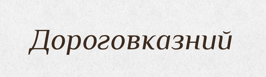 Дороговказний — Великий тлумачний словник сучасної української мови