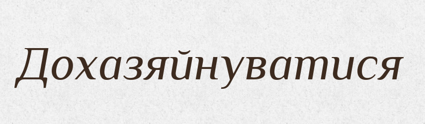 Дохазяйнуватися — Великий тлумачний словник сучасної української мови