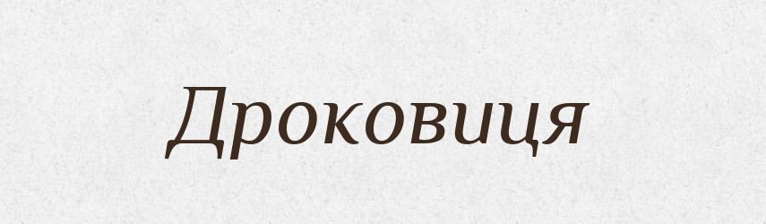 Дроковиця — Великий тлумачний словник сучасної української мови