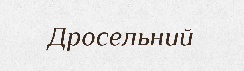 Дросельний — Великий тлумачний словник сучасної української мови