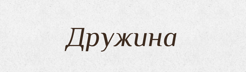 Дружина — Великий тлумачний словник сучасної української мови