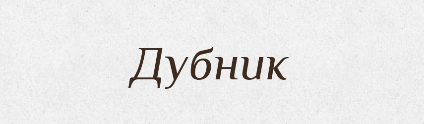 Дубник — Великий тлумачний словник сучасної української мови