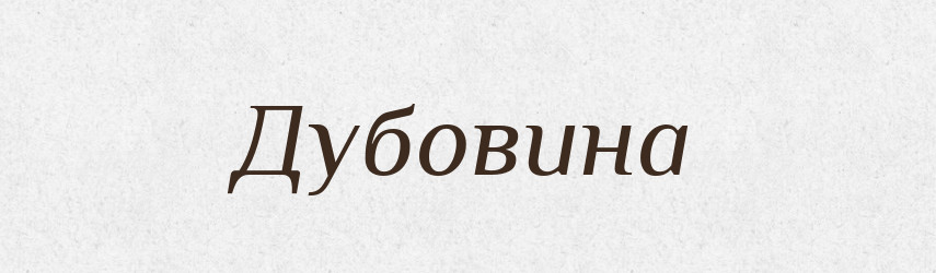 Дубовина — Великий тлумачний словник сучасної української мови