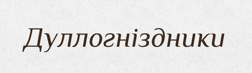 Дуллогніздники — Великий тлумачний словник сучасної української мови