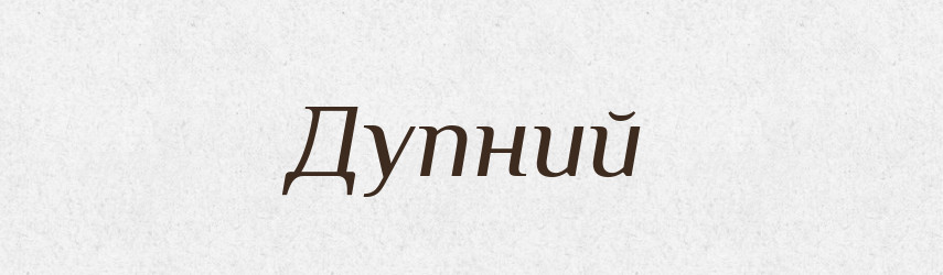 Дупний — Великий тлумачний словник сучасної української мови