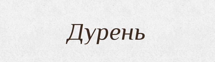 Дурень — Великий тлумачний словник сучасної української мови