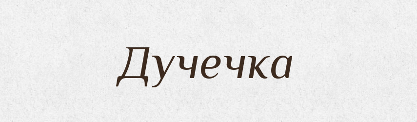 Дучечка — Великий тлумачний словник сучасної української мови