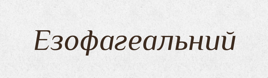 Езофагеальний — Великий тлумачний словник сучасної української мови