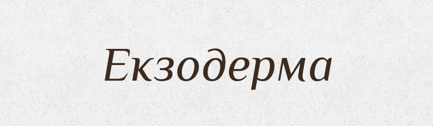 Екзодерма — Великий тлумачний словник сучасної української мови