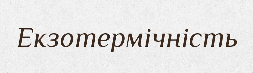 Екзотермічність — Великий тлумачний словник сучасної української мови