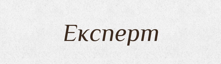 Експерт — Великий тлумачний словник сучасної української мови