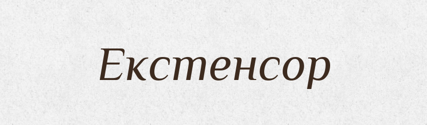 Екстенсор — Великий тлумачний словник сучасної української мови