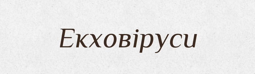 Екховіруси — Великий тлумачний словник сучасної української мови