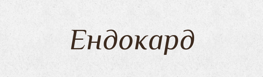 Ендокард — Великий тлумачний словник сучасної української мови