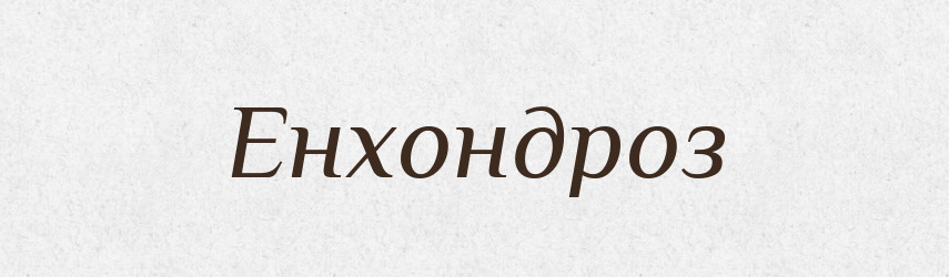 Енхондроз — Великий тлумачний словник сучасної української мови