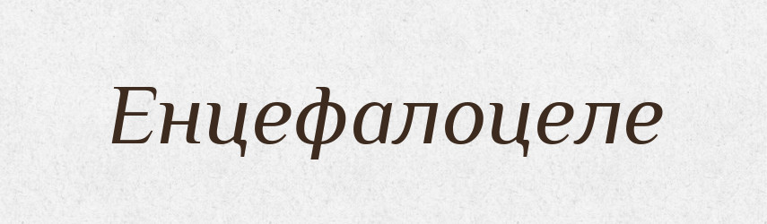 Енцефалоцеле — Великий тлумачний словник сучасної української мови