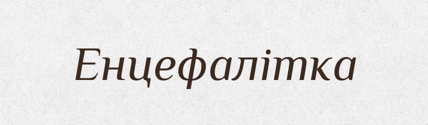 Енцефалітка — Великий тлумачний словник сучасної української мови