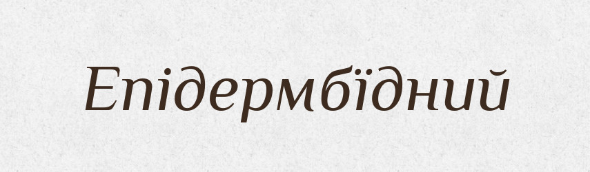 Епідермбїдний — Великий тлумачний словник сучасної української мови