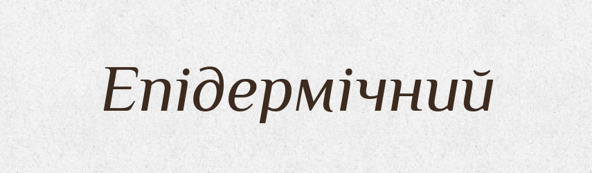 Епідермічний — Великий тлумачний словник сучасної української мови