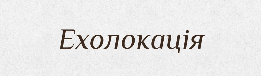 Ехолокація — Великий тлумачний словник сучасної української мови