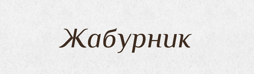 Жабурник — Великий тлумачний словник сучасної української мови