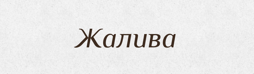 Жалива — Великий тлумачний словник сучасної української мови