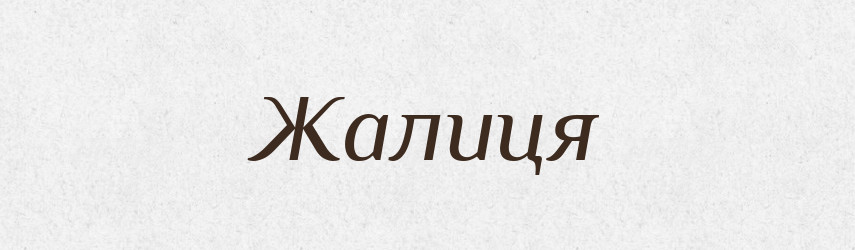 Жалиця — Великий тлумачний словник сучасної української мови