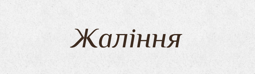 Жаління — Великий тлумачний словник сучасної української мови