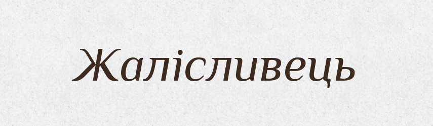Жалісливець — Великий тлумачний словник сучасної української мови