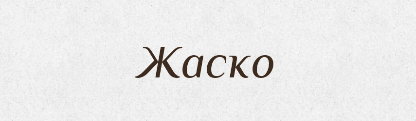 Жаско — Великий тлумачний словник сучасної української мови
