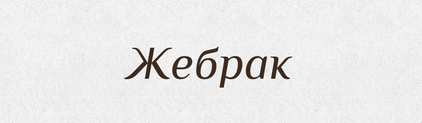 Жебрак — Великий тлумачний словник сучасної української мови
