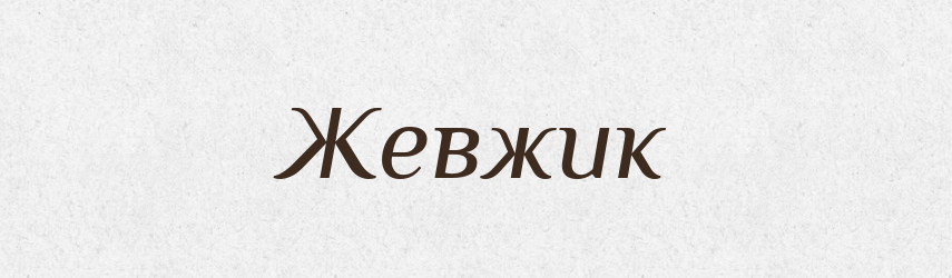 Жевжик — Великий тлумачний словник сучасної української мови