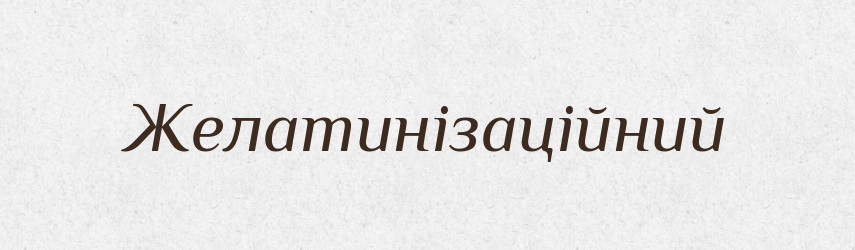 Желатинізаційний — Великий тлумачний словник сучасної української мови