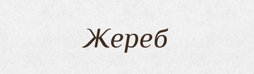 Жереб — Великий тлумачний словник сучасної української мови