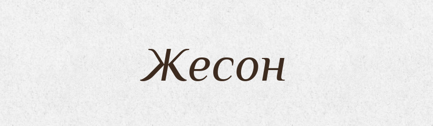 Жесон — Великий тлумачний словник сучасної української мови