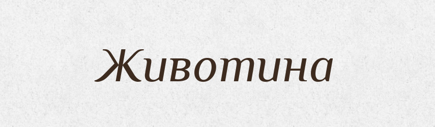 Животина — Великий тлумачний словник сучасної української мови