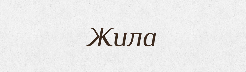 Жила — Великий тлумачний словник сучасної української мови