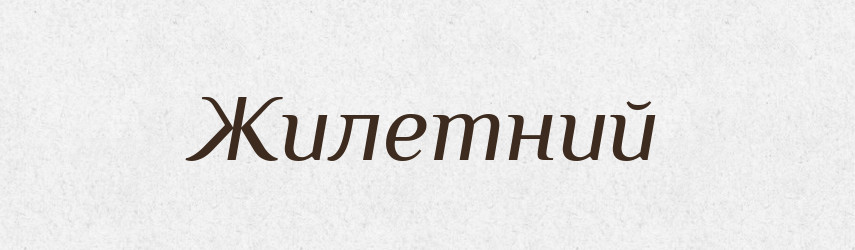 Жилетний — Великий тлумачний словник сучасної української мови