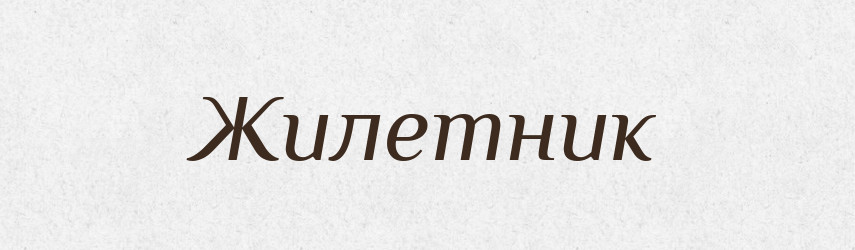 Жилетник — Великий тлумачний словник сучасної української мови